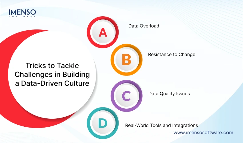 Challenges in Building Data-driven Culture